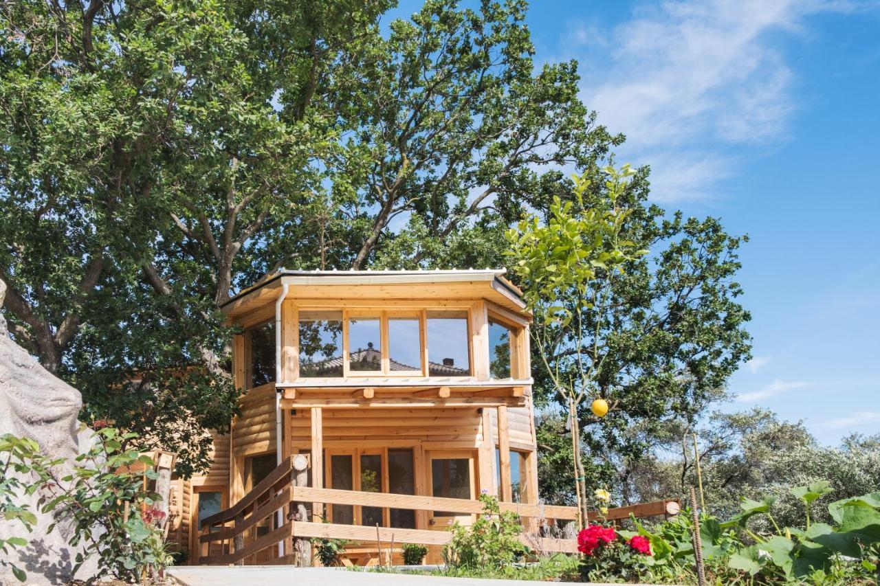 Romantic Tree House Kato Pavliana Exteriér fotografie