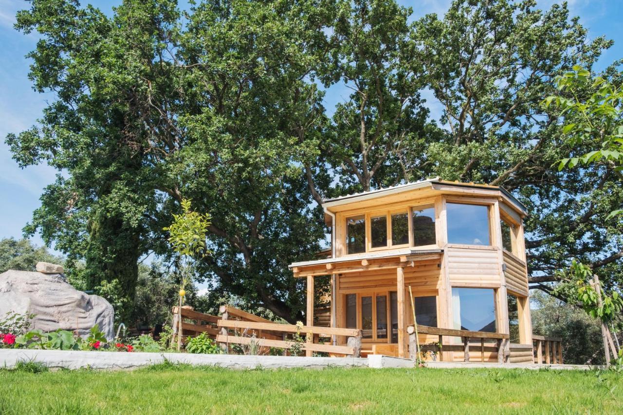 Romantic Tree House Kato Pavliana Exteriér fotografie